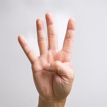 4 Fingers